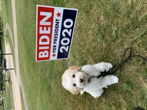 Young Rowdy showing support for the Democratic Party in 2020.